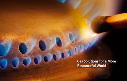 ���������Ǳ�